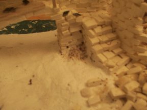 Dcp_0089.jpg (10713 Byte)